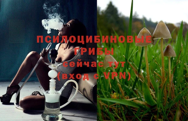 винт Нея