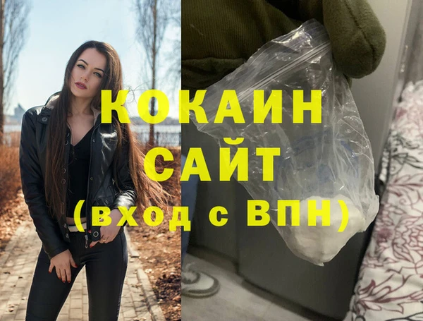 шишки Дмитровск