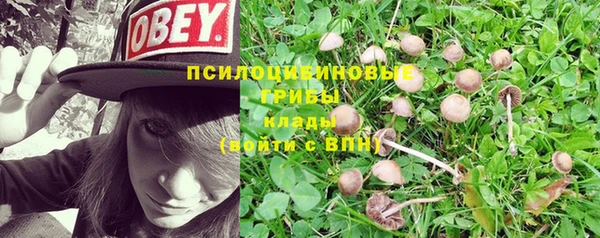 бошки Абинск